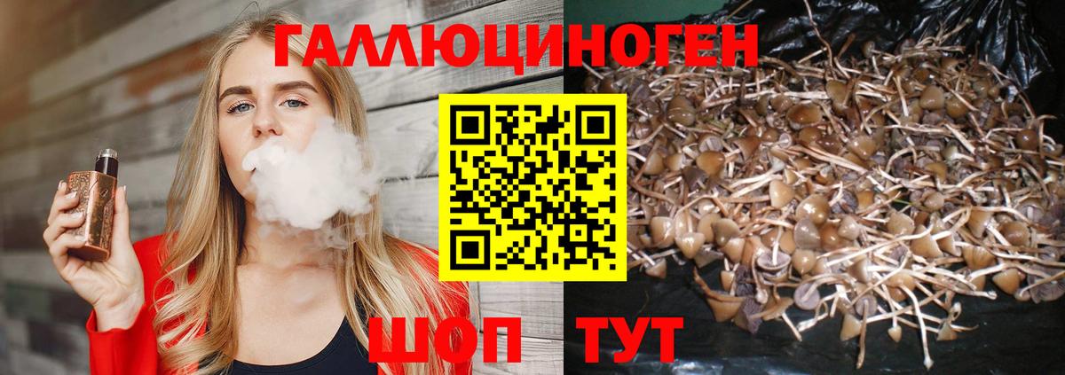Псилоцибиновые грибы ЛСД  Галлюциногенные грибы MAGIC MUSHROOMS  Вход с VPN  Нефтекумск 