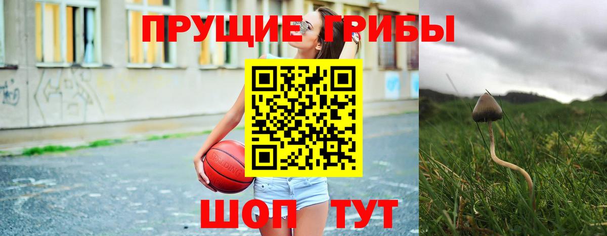 Галлюциногенные грибы Psilocybe Нефтекумск
